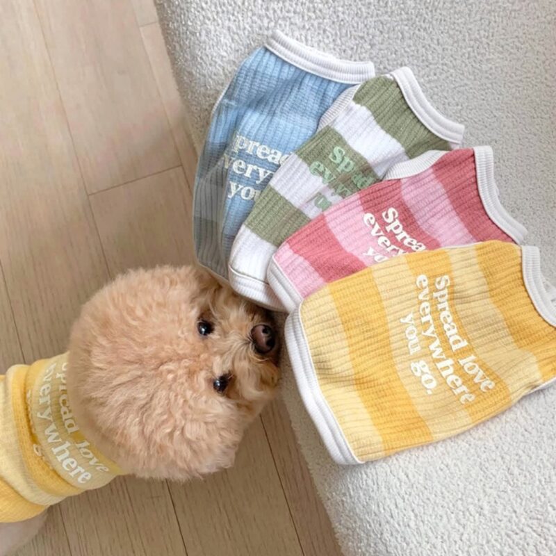夏のおしゃれに◎パステルボーダータンクトップ - 画像 (4)